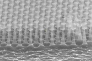 Matrice de nano-pointes Silicium avec chapeau de résine